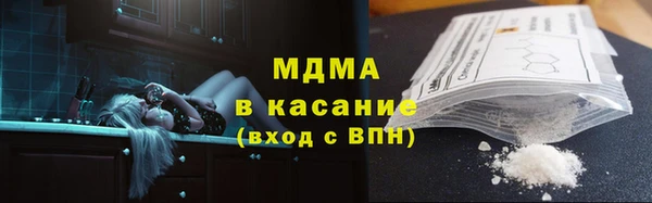 сатива Беломорск