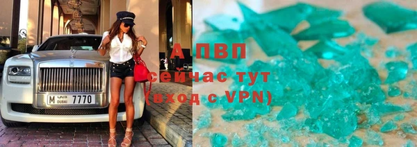 ПСИЛОЦИБИНОВЫЕ ГРИБЫ Баксан